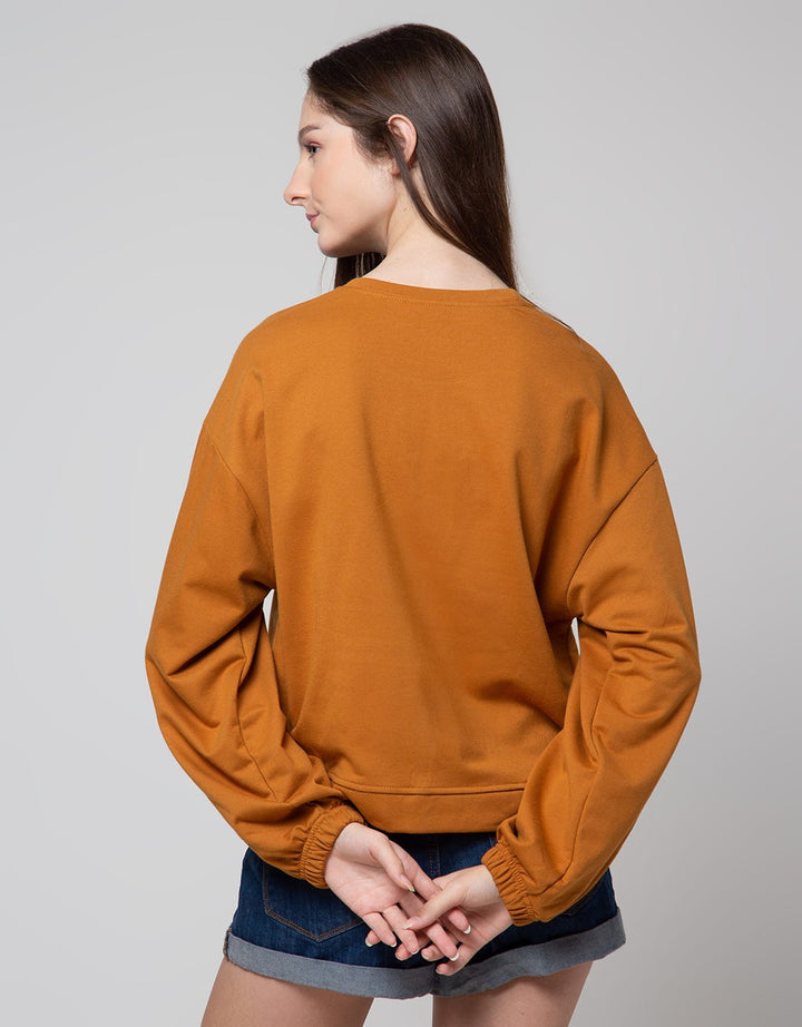 American Jeans Sweatshirt U15