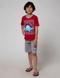 Little M Stegosaurus Set Pakaian Anak Laki-Laki