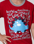 Little M Stegosaurus Set Pakaian Anak Laki-Laki