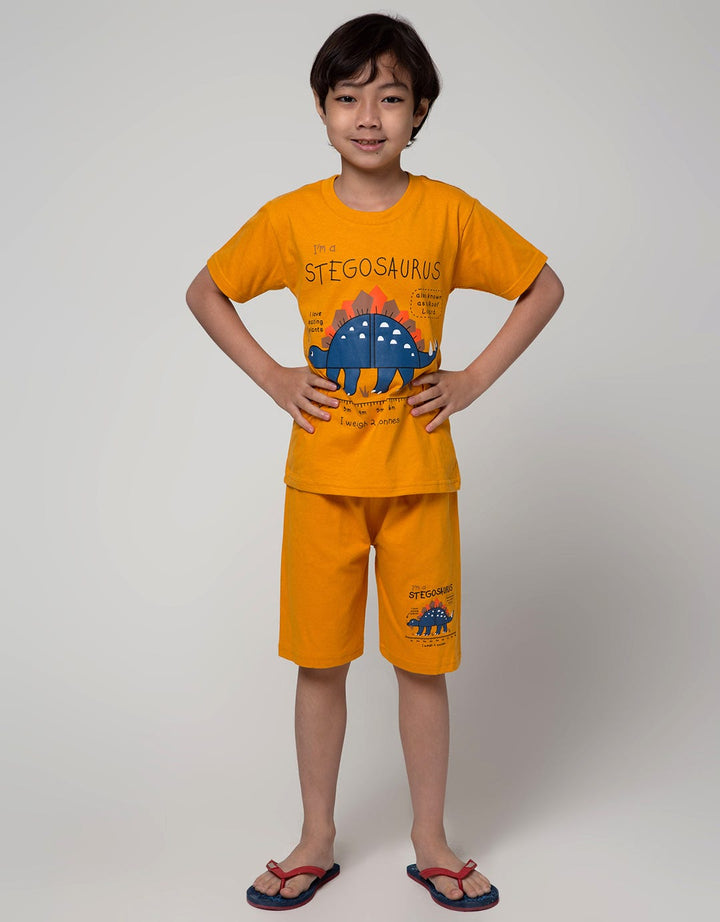 Little M Top-Bottom Stego Print T-Shirt Set