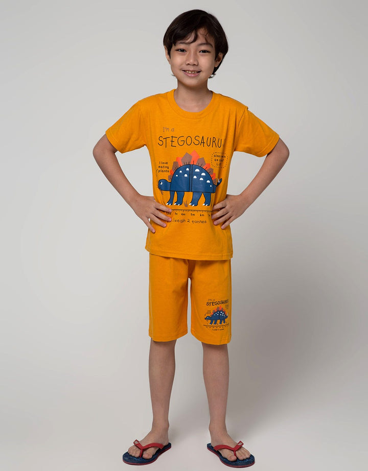 Little M Top-Bottom Stego Print T-Shirt Set