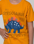 Little M Top-Bottom Stego Print T-Shirt Set