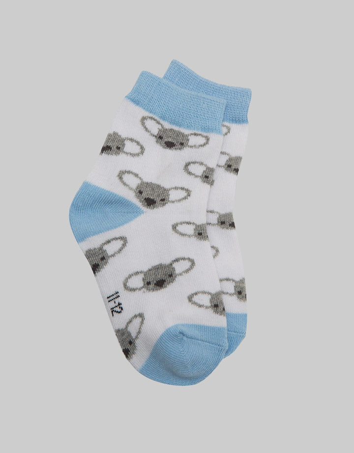 Pipiniko Sock Kaus Kaki Boys Fp Koala