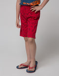 Little M Boys Shorts Pack of 2