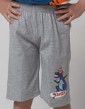 Little M Boys Shorts Pack of 2