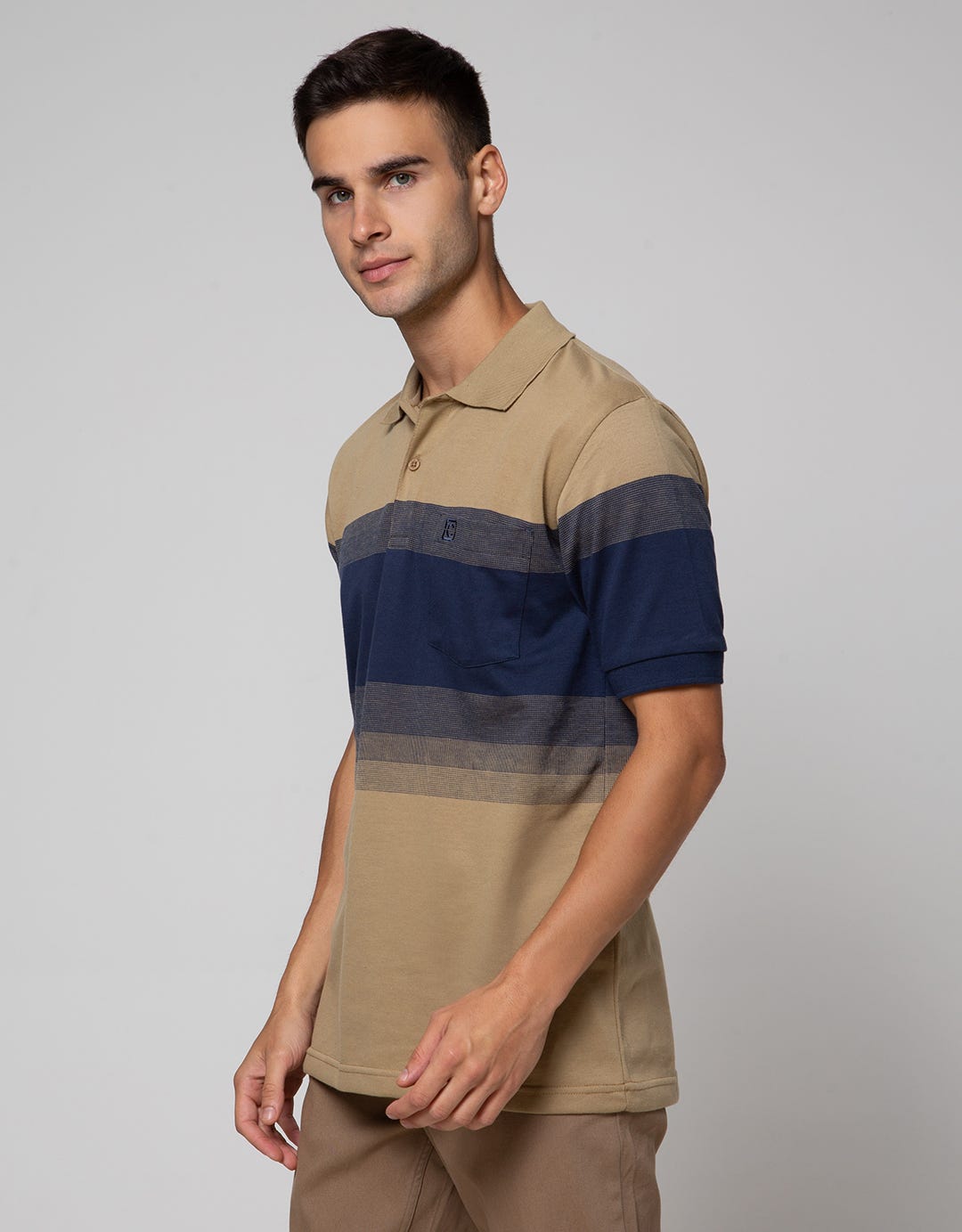Cole Big Stripe Middle Men's Polo Shirt