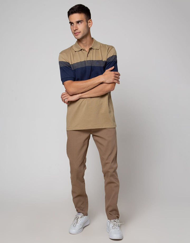 Cole Big Stripe Middle Men's Polo Shirt