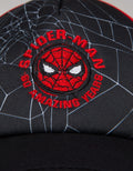 Marvel Spiderman Web Cap Boys