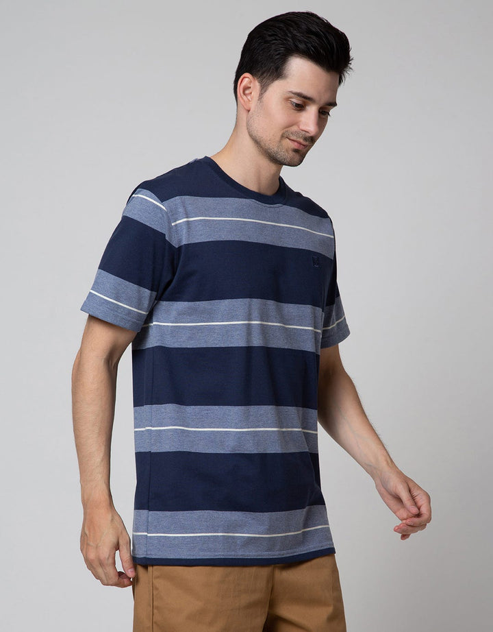 Cole Short Sleeve T-Shirt In Big Stripe
