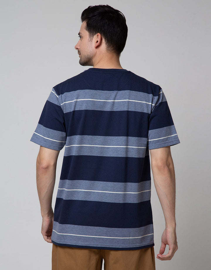 Cole Short Sleeve T-Shirt In Big Stripe