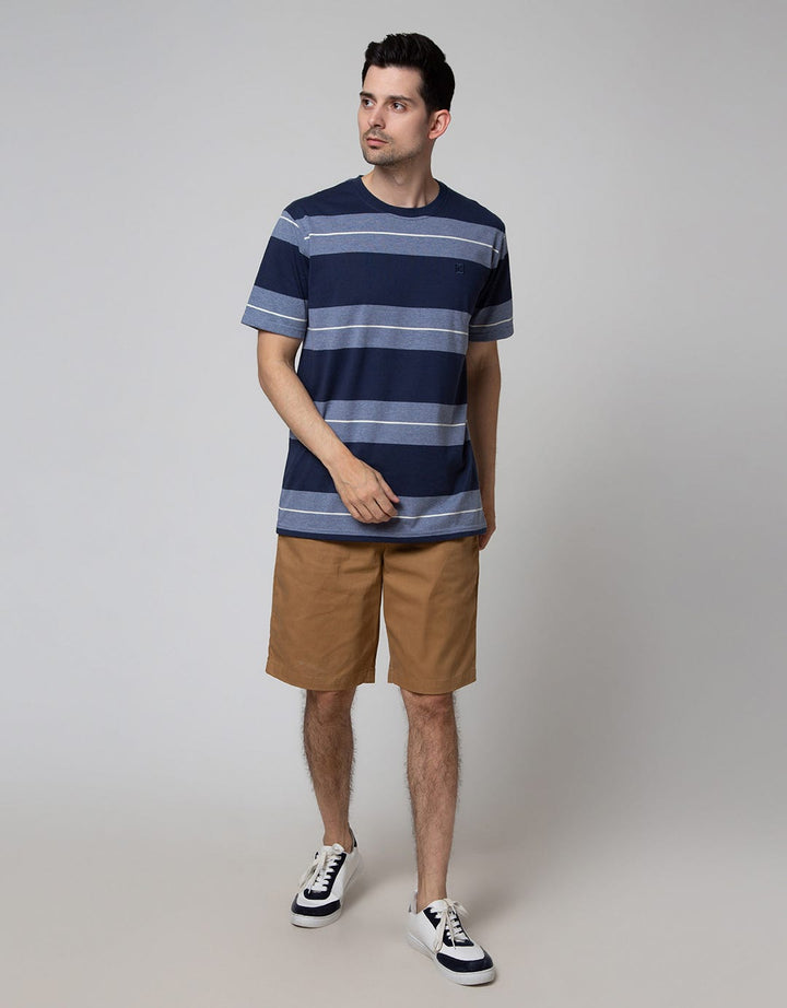 Cole Short Sleeve T-Shirt In Big Stripe