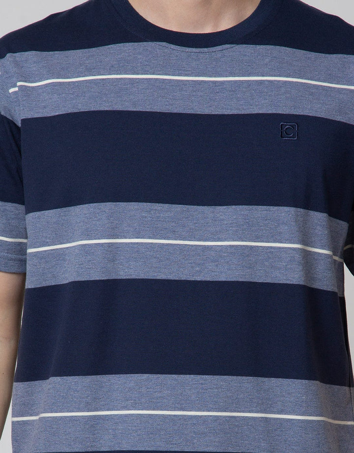 Cole Short Sleeve T-Shirt In Big Stripe