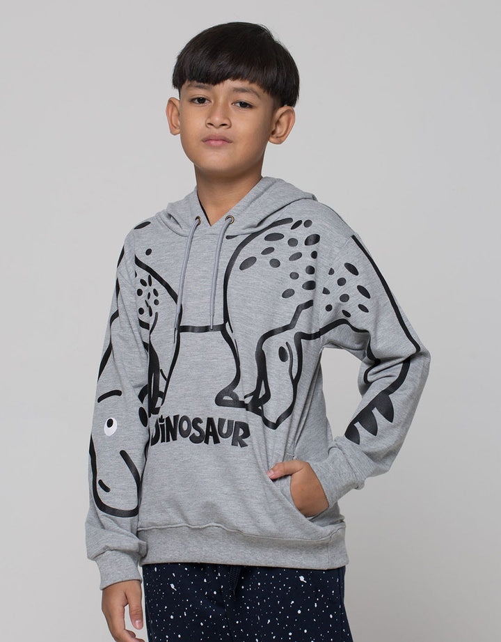 Aero Hoodie Dino Sweater Anak Laki-Laki