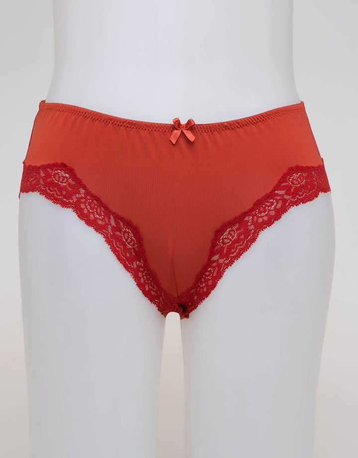 St. Yves Brief Panty Midi Lace