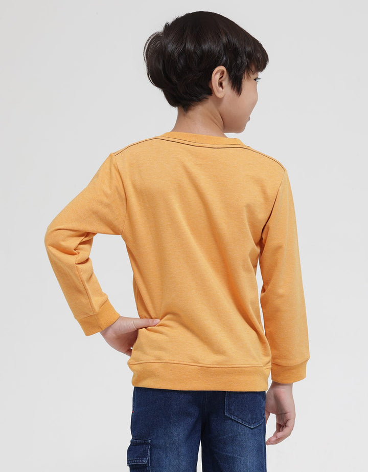 Little M Sweatshirt Best Buy Animal Bear
