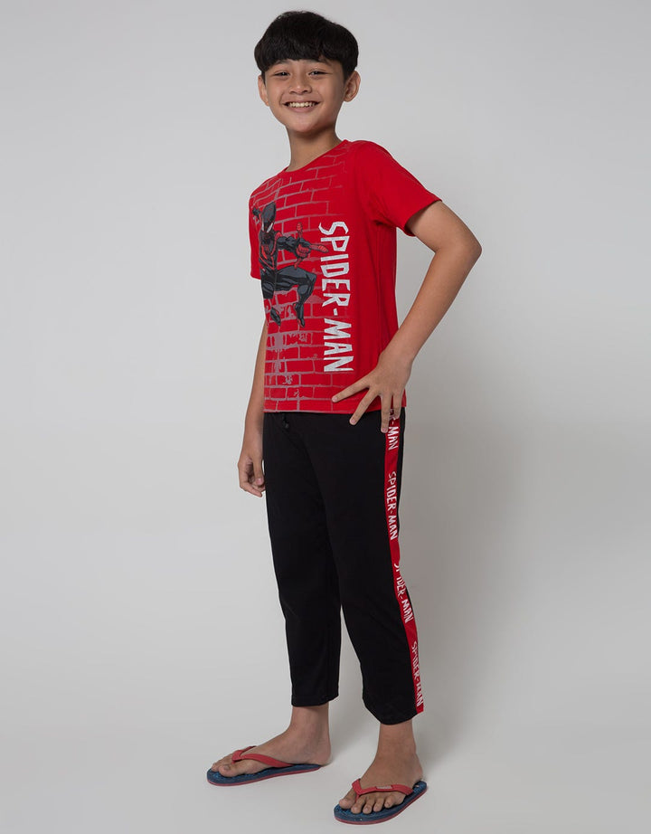 Marvel Top-Bottom Setlslp Spiderman Dinding