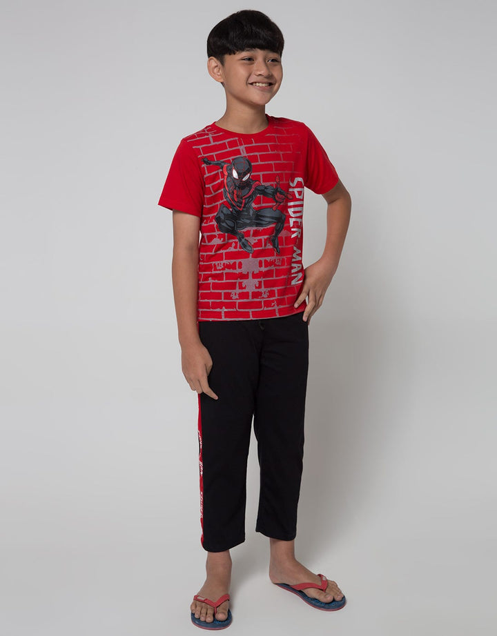 Marvel Top-Bottom Setlslp Spiderman Dinding