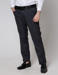 Stanley Adams Long Pants Poly Viscose Slim