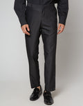 Stanley Adams Long Pants Poly Viscose Slim