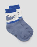 Pipiniko Shark 1 Series Kaus Kaki Anak