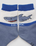Pipiniko Shark 1 Series Kaus Kaki Anak