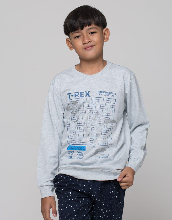 Aero T Rex Prit Sweater Anak Laki-Laki