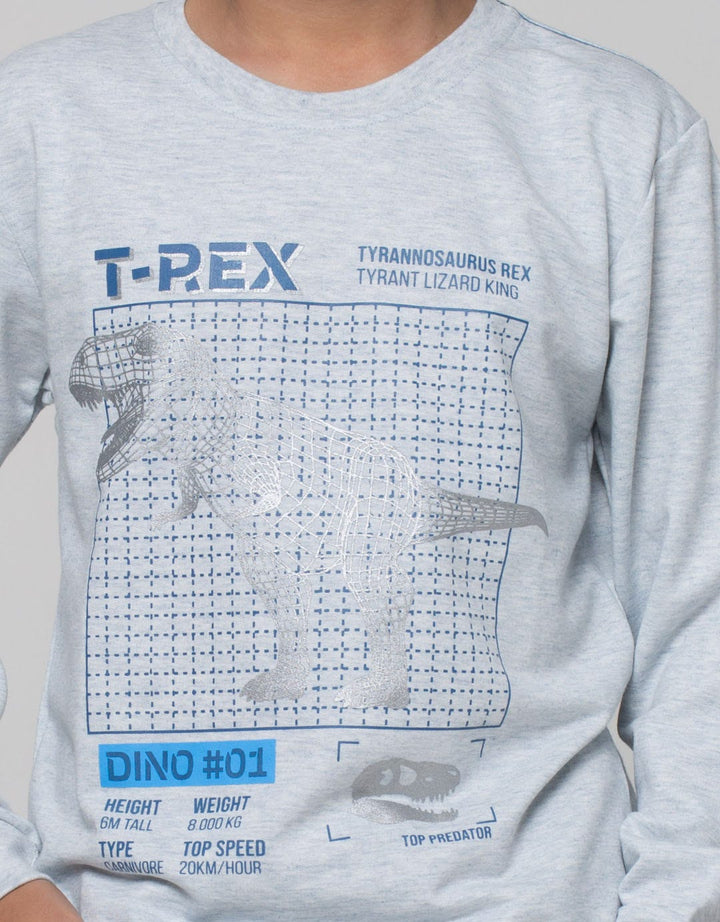 Aero T Rex Prit Sweater Anak Laki-Laki