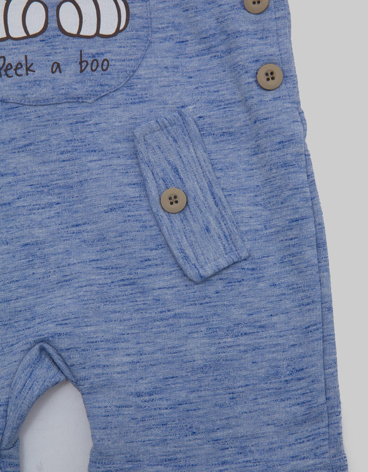 Disney Overall Lion King