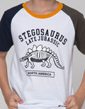 Little M Raglan Stego Kaos Anak Laki-laki