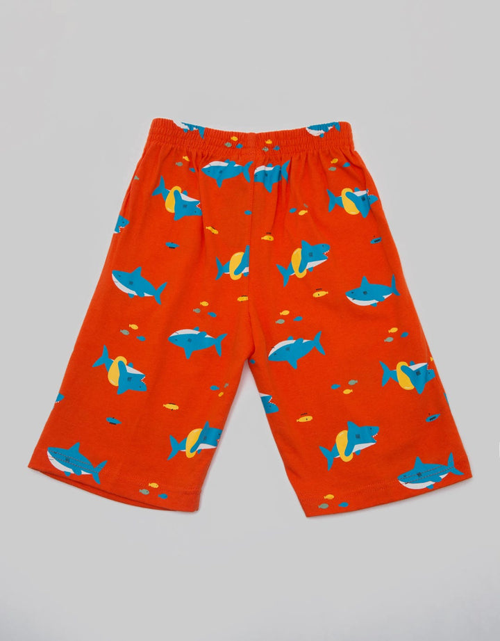 Little M Short Pants Knit Shark