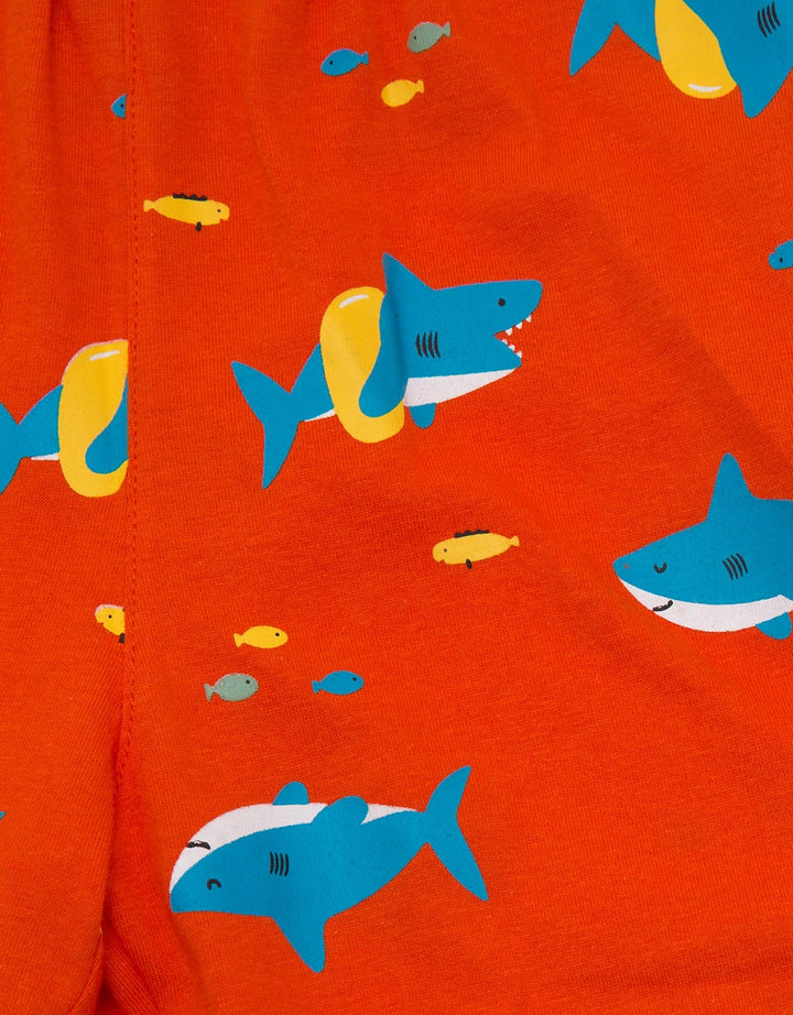 Little M Short Pants Knit Shark