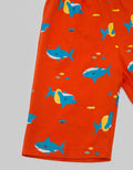 Little M Short Pants Knit Shark