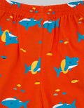 Little M Short Pants Knit Shark
