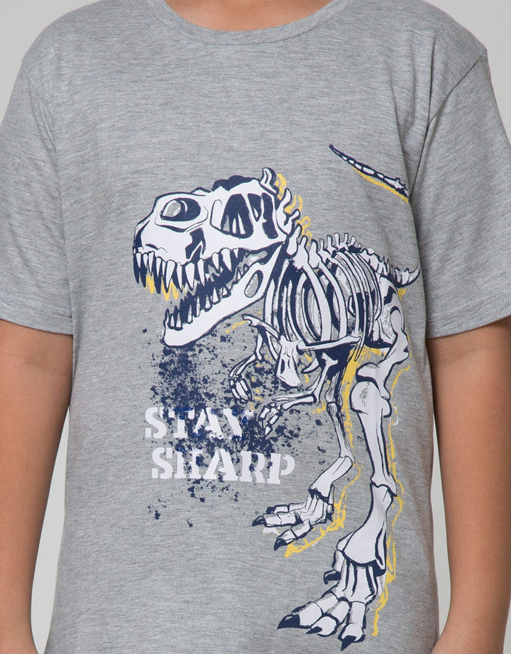 Aero Stay Hard Dino Kaos Anak Laki-laki