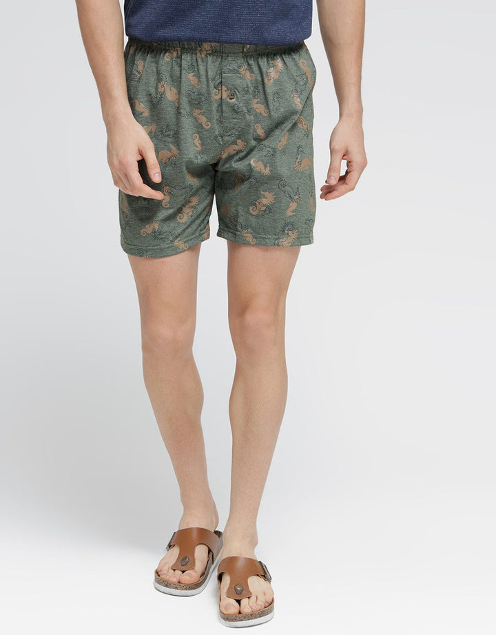 Cole Seahorse Print Men's Boxer Shorts