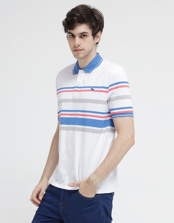Walrus Multi Stripe Color Polo Shirt