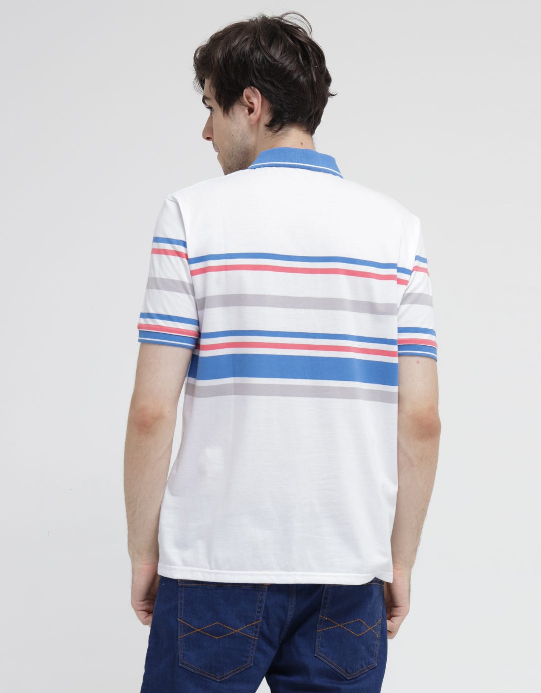 Walrus Multi Stripe Color Polo Shirt