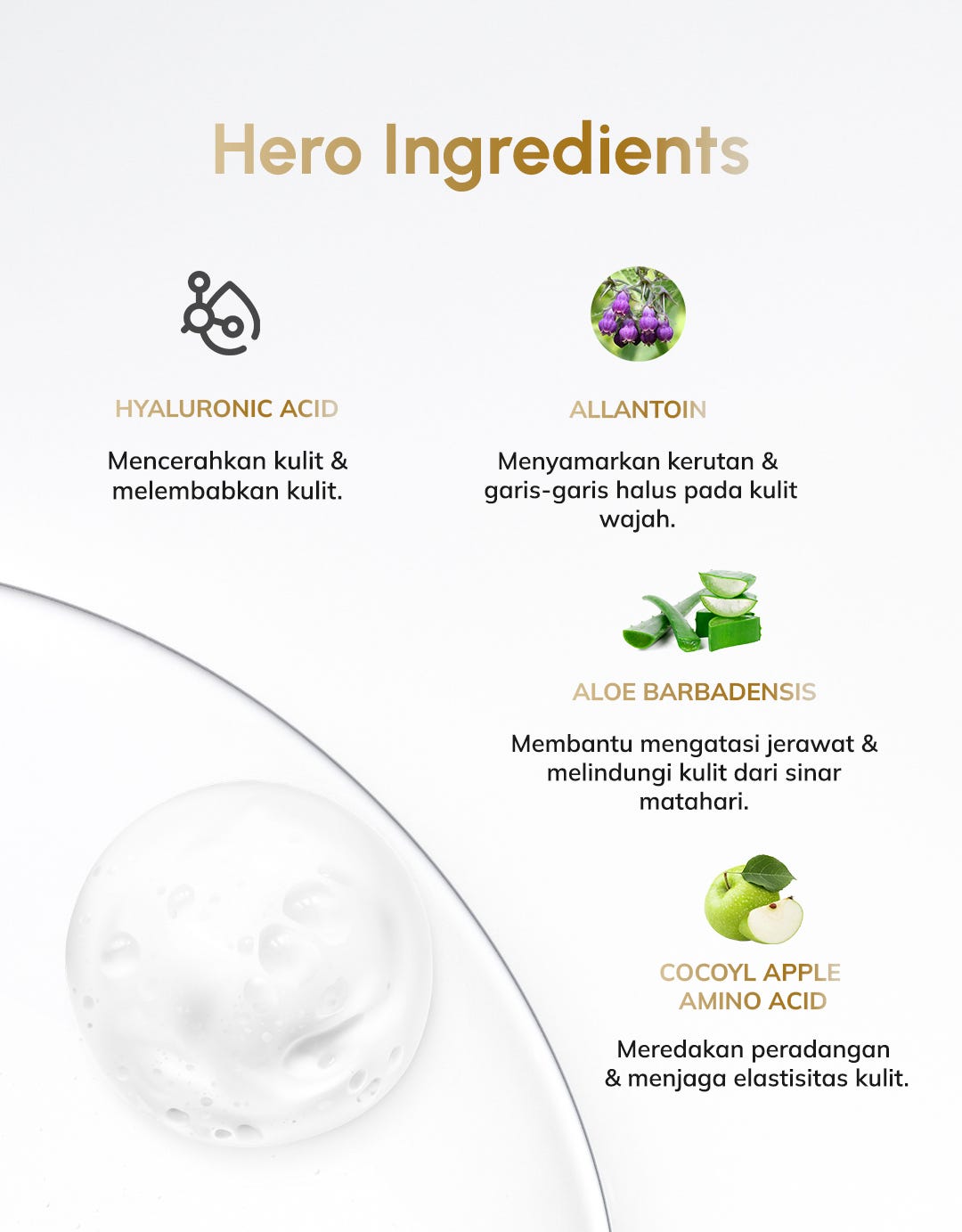 Skin Nutrient Brightening Micro Foam Cleanser