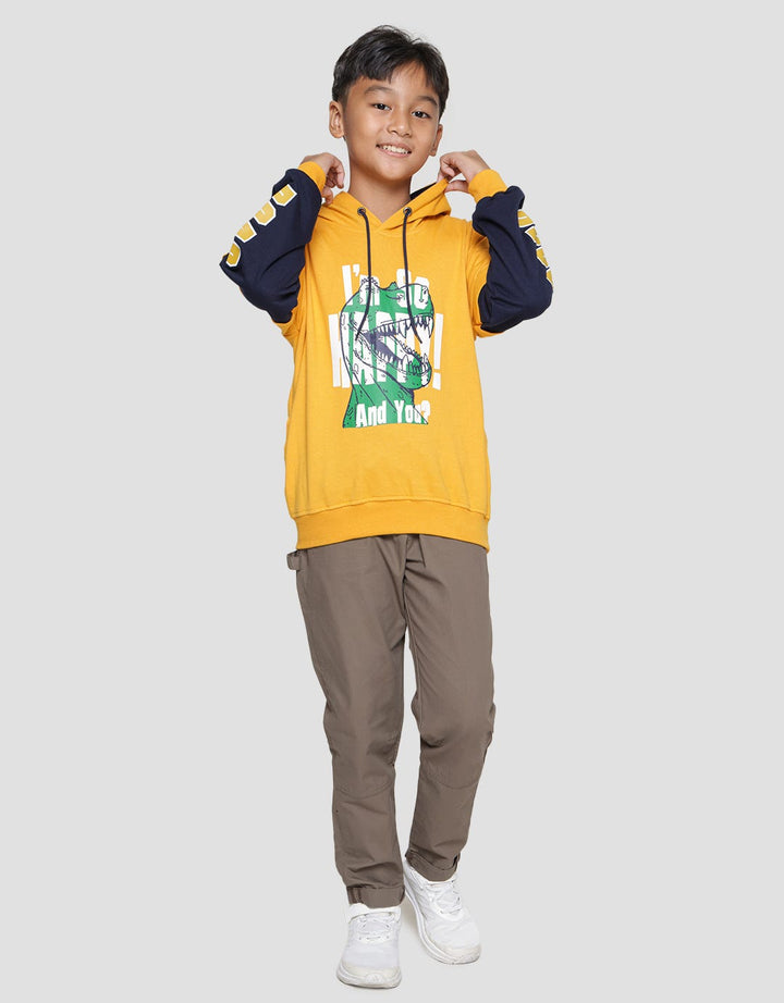 Aero Dino Happy Sweater Hoody Anak Laki-Laki