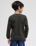 Little M Dino Boys Sweater