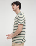 Cole Small Stripe Men's Casual T-Shirt