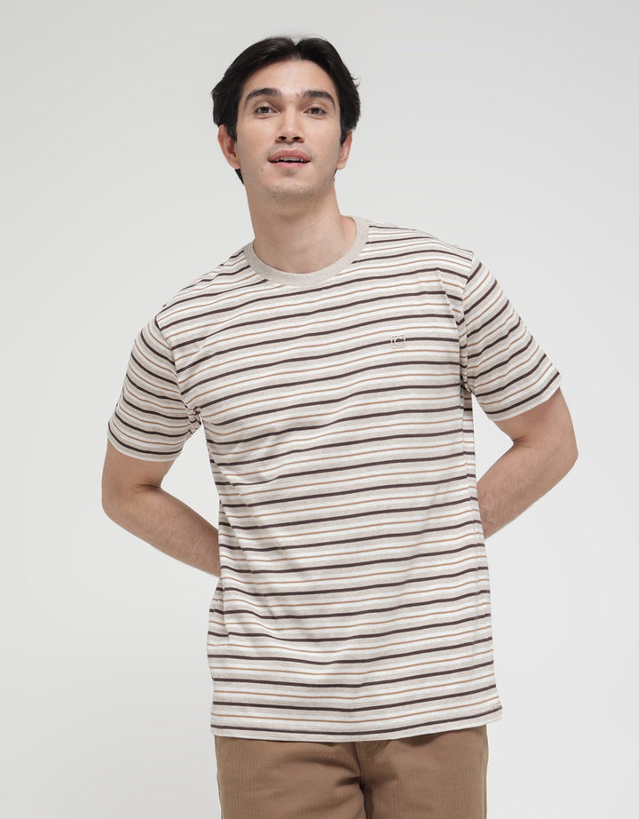Cole Small Stripe Men's Casual T-Shirt