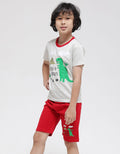 Little M Pakaian Setelan Print Dino Explorer