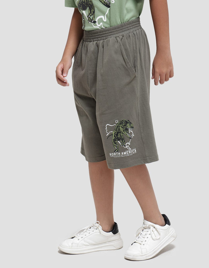 Aero Short Pants Rex North America