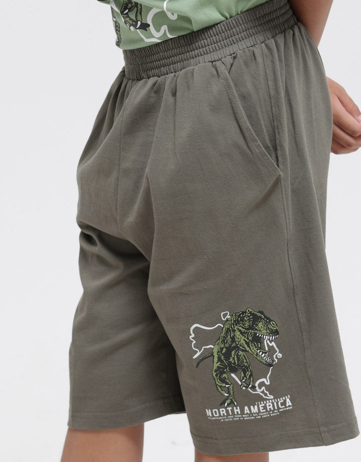 Aero Short Pants Rex North America