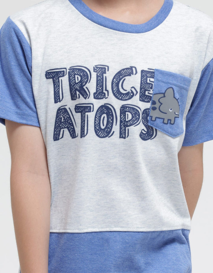 Little M Cut N Sewn Triceratops T-Shirt Set