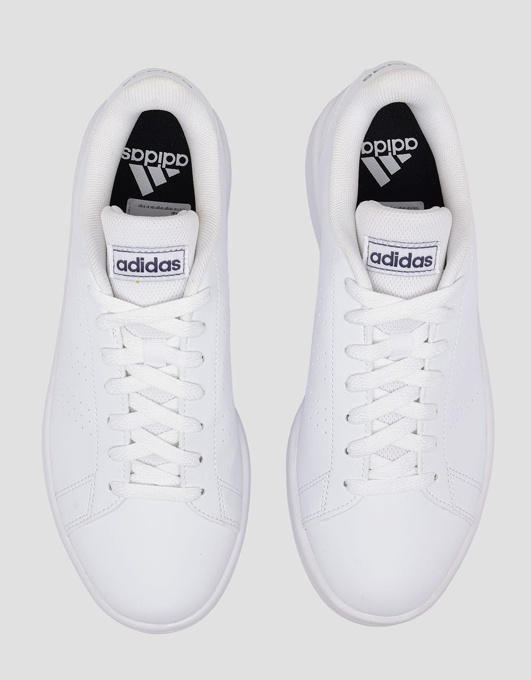Adidas Sportlife Advantage Base Sepatu Tennis Pria