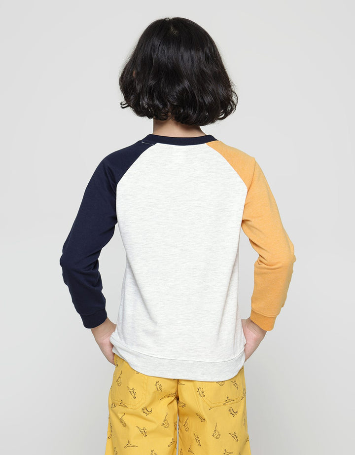 Little M Terry Dino Sweater Anak Laki-laki
