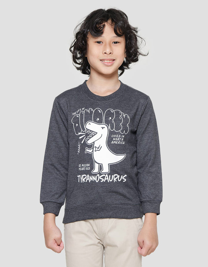 Little M Tyranosaurus Print Sweater Anak Laki-laki
