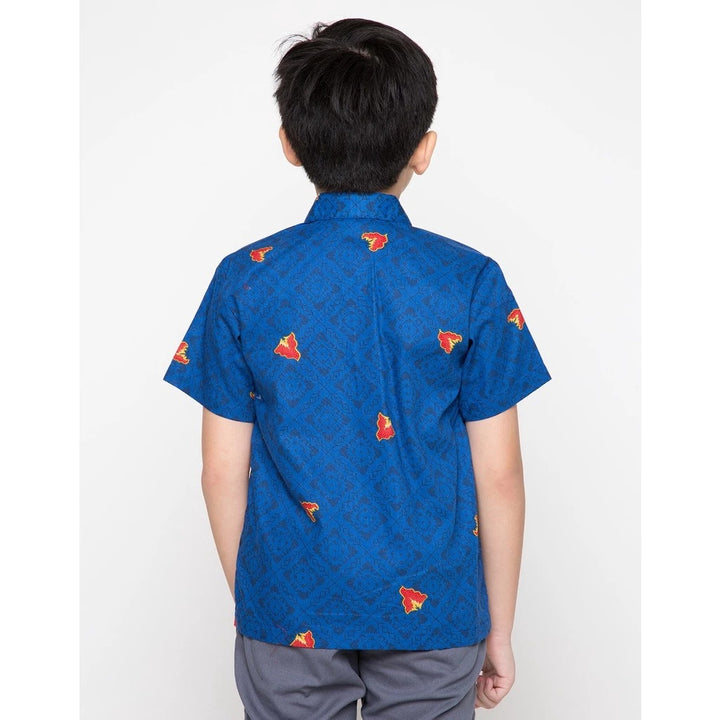 Arjuna Weda Hem Batik Anak Barong Merak